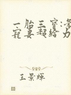 一胎三宝:爹地宠妻超给力