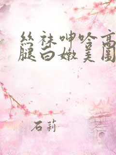 丝袜呻吟高潮美腿白嫩美图