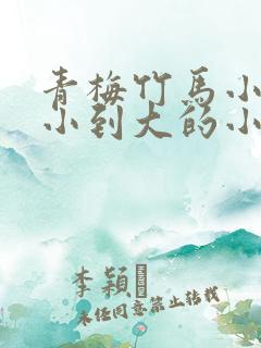 青梅竹马小说从小到大的小说