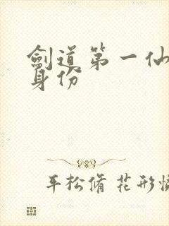 剑道第一仙九世身份