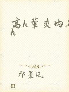 高h荤爽肉欲文h