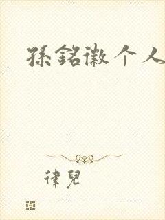 孙铭徽个人简介