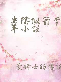 光阴似箭李艳傅平小说