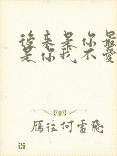 后来是你最终也是你我不爱你谁爱你歌词