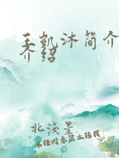 王凯沐简介个人介绍