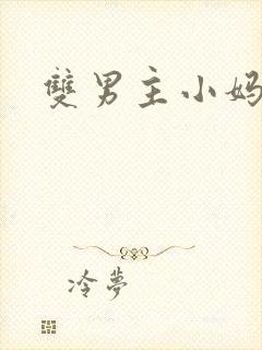 双男主小妈文学