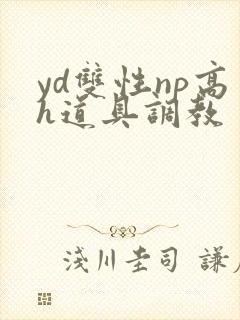 yd双性np高h道具调教