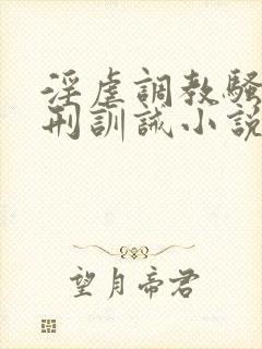 淫虐调教骚奴淫刑训诫小说