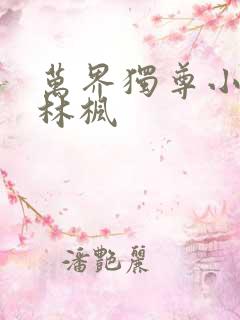 万界独尊小说 林枫