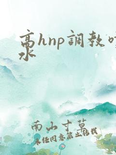 高hnp调教喷水