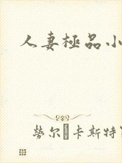 人妻极品小说