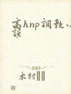 高hnp调教小说