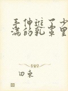 手伸进了少妇丰满的乳罩里