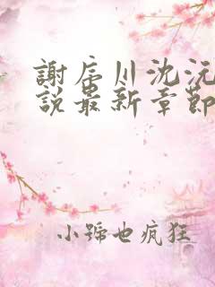 谢序川沈沅珠小说最新章节免费阅读