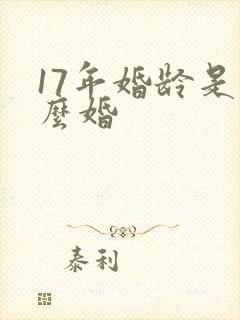 17年婚龄是什么婚