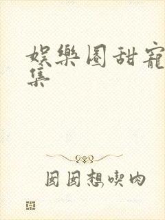 娱乐圈甜宠文合集