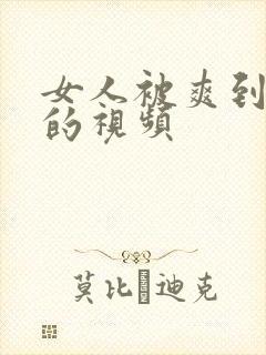 女人被爽到高潮的视频