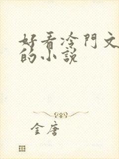 好看冷门文笔好的小说