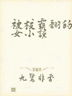 被校霸翻的乖乖女小说