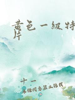 黄色一级特黄大片