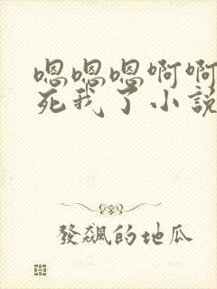 嗯嗯嗯啊啊啊操死我了小说