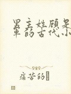 男主姓顾是个将军的古代小说