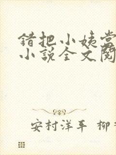 错把小姨当老婆小说全文阅读