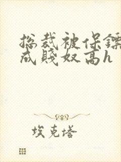 总裁被保镖调教成贱奴高h