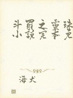 斗罗之灵珠神剑小说完本免费阅读