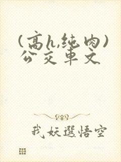 (高h,纯肉)公交车文