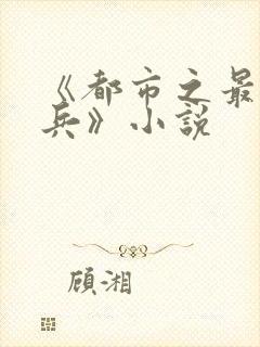 《都市之最强狂兵》小说