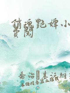 销魂艳婢小说免费阅