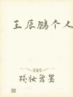 王辰鹏个人简介