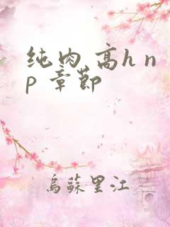 纯肉 高h np 章节