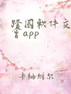 跨国软件交友约会app