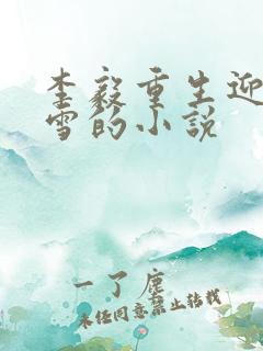 李毅重生迎娶唐雪的小说