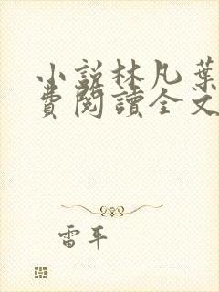 小说林凡叶惜免费阅读全文