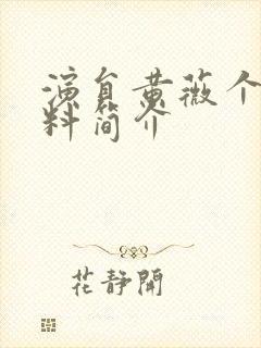 演员黄薇个人资料简介