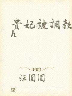 贵妃被调教浪荡h