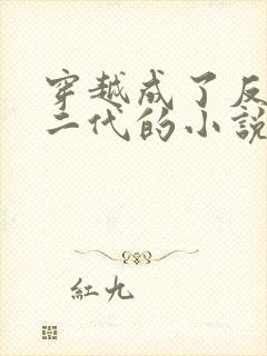 穿越成了反派富二代的小说