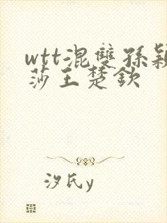 wtt混双孙颖莎王楚钦