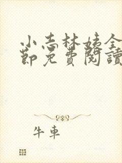 小志林姨全部章节免费阅读