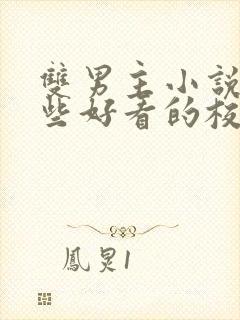 双男主小说有哪些好看的校园文