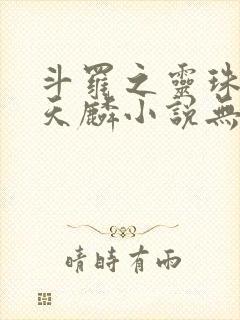 斗罗之灵珠神剑天麟小说无弹窗