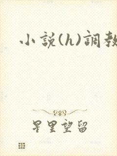 小说(h)调教