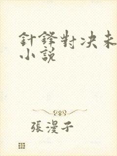 针锋对决未删减小说