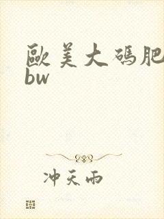 欧美大码肥臀bbw