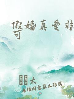 假婚真爱非她不可