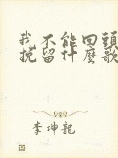 我不能回头不能挽留什么歌