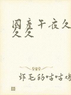 国产午夜久久久久久